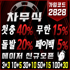 차무식벳 로고